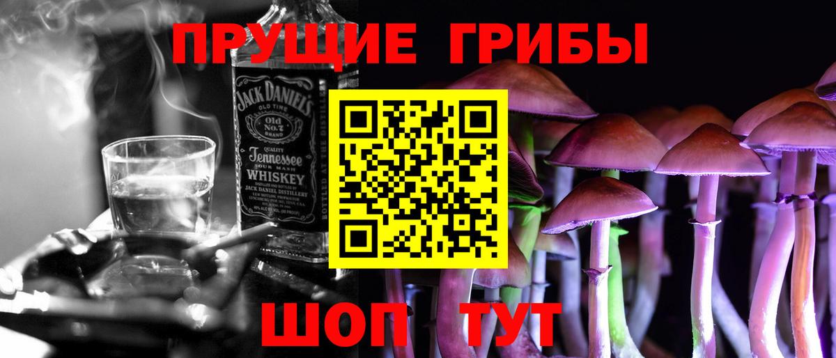 Галлюциногенные грибы Psilocybine cubensis Клинцы